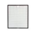 Coway Storm Hepa