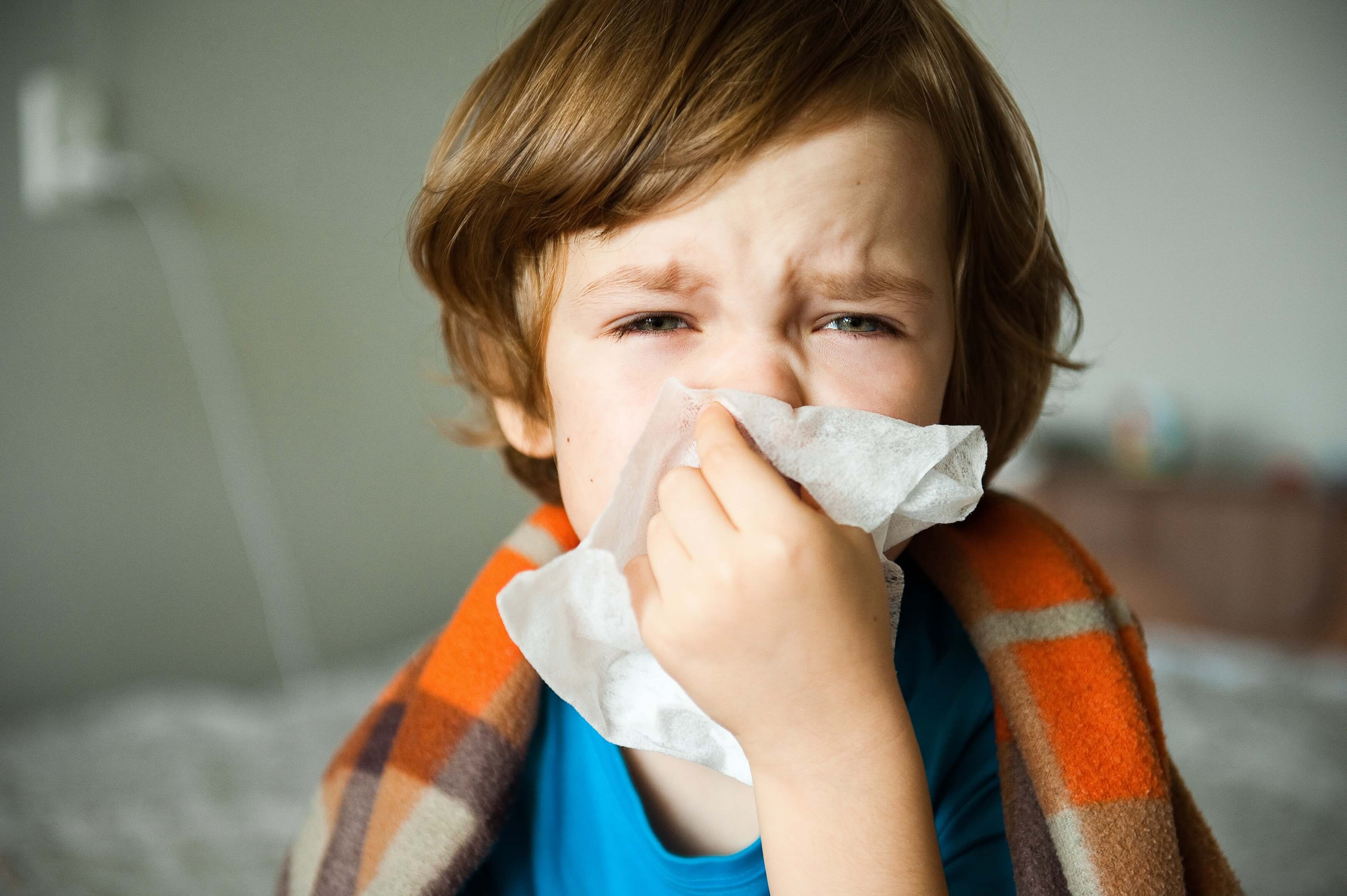 oczyszczacz dla alergika