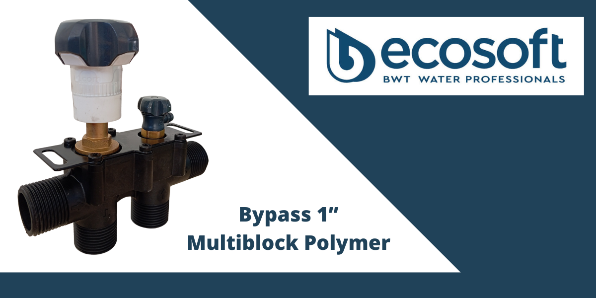 ecosoft multiblock inline 1" Polymer