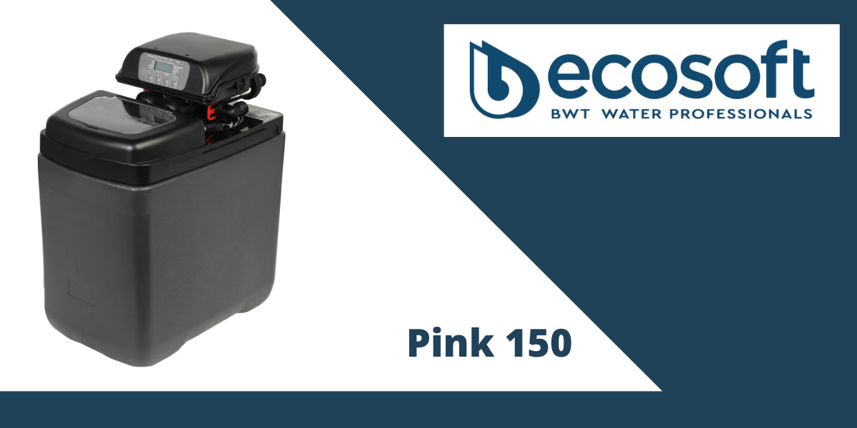 ecosoft pionk 150