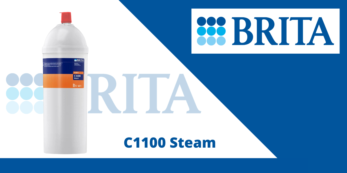 filtr steam c1100