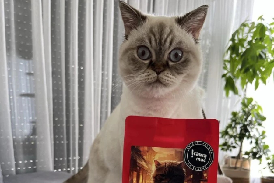 kawa o mocnej kwasowości