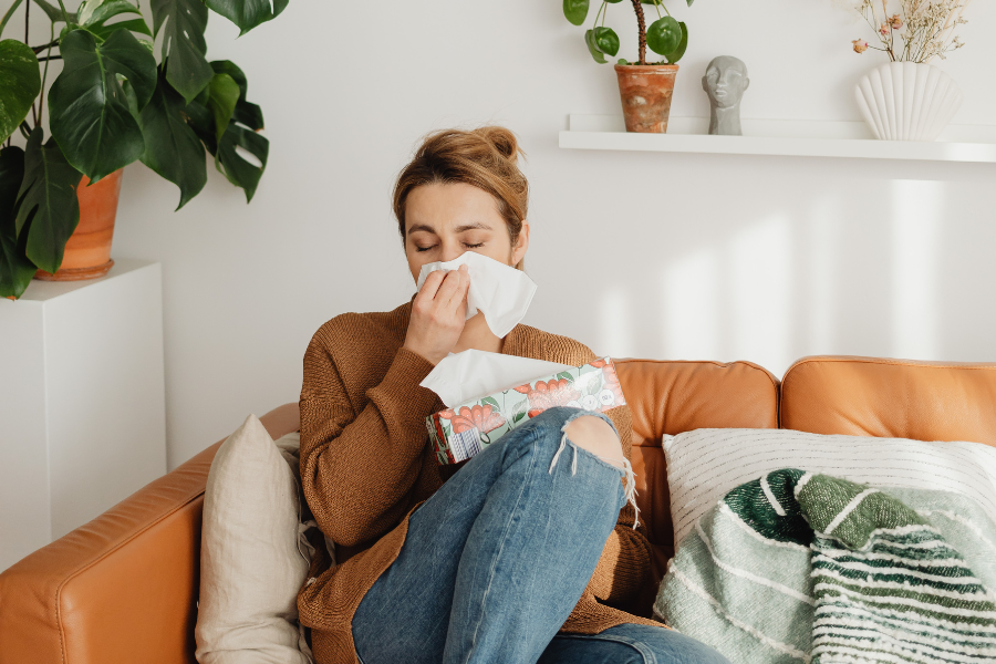 oczyszczacz powietrza blueair